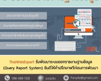 รับพัฒนาระบบออกรายงานฐานข้อมูล QUERY REPORT SYSTEM (โดย ThaiWebExpert)
