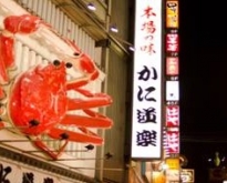 ทัวร์ญี่ปุ่น TOKYO FUJI ซุปตาร์ สกี ตอง 3 6 วัน 3 คืน (TG)