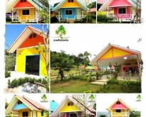 ชอบสีไหน  เลือกได้เลย บ้านพักสไตล์ลูกกวาด มากสีหลากสัน   เพิ่มความสดใสให้กั