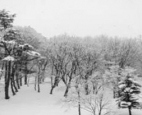 ทัวร์ญี่ปุ่น KOMATSU IIYAMA ซุปตาร์ หิมะ หม่ำดั้ยยยย 6 วัน 4 คืน (TG)