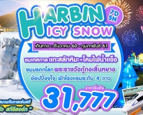 SHE01 HARBIN ICY SNOW 7D5N BY XW