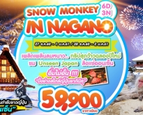 SNOW MONKEY IN NAGANO 6D3N BY TG