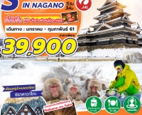 SNOW MONKEY IN NAGANO 5D3N BY JL