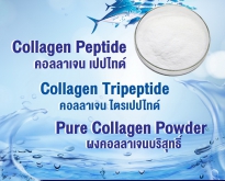 คอลลาเจน เปปไทด์, Collagen Peptide, คอลลาเจน, Collagen