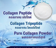 คอลลาเจนเกาหลี, คอลลาเจนไทย, Collagen Korea, Collagen Thailand