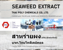 สาหร่ายผง, ผงสาหร่าย, Seaweed extract, Seaweed powder, สาหร่ายสกัด, ซีวีดเอ