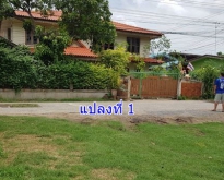 ขายที่ดินสวย 100 ตรว. ใกล้สำนักงานอำเภอเมืองลพบุรี 2 แปลง โทร 0868489899