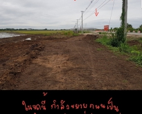 ขายที่ดิน 13ไร่ 1งาน ติดถนนเลี่ยงเมืองลพบุรี