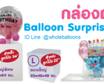 wholeballoons สอนทำลูกโป่งแบบมืออาชีพ และจำหน่ายลูกโป่งราคาส่ง 