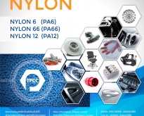 พอลิเอไมด์, ไนลอน, Polyamide 6, Polyamide 66, Nylon 6, Nylon 66, PA6, PA66