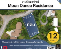 ขายที่ดินเขาใหญ่ Moon Dance Residence มีไฟฟ้าและน้ำประปาเข้าถึง