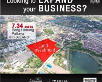 Looking to Expand your Business, Land Investment, Bang Lamung, Pattaya Thai