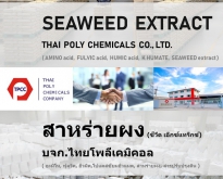 สารสกัดสาหร่ายทะเล, Seaweed extract, สาหร่ายผง, Seaweed powder, สาหร่ายสกัด