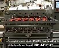 ขายเครื่องบรรจุสินค้าลงกล่องพลาสติก แบบอัตโนมัติ Plastic Box Packing machin