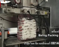 เครื่องบรรจุถุงเล็กในถุงใหญ่ เครื่องห่อในแนวตั้ง Baling Packing Machine 081