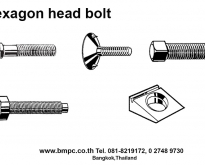 Hexagon head bolt, Bolt with flange, Shoulder screw, Set screw, screw plug,