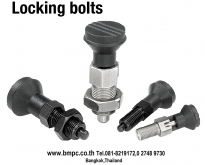 Locking bolt, Index plunger, Plunger with pin, สลักล๊อกตำแหน่ง, Plug indexi
